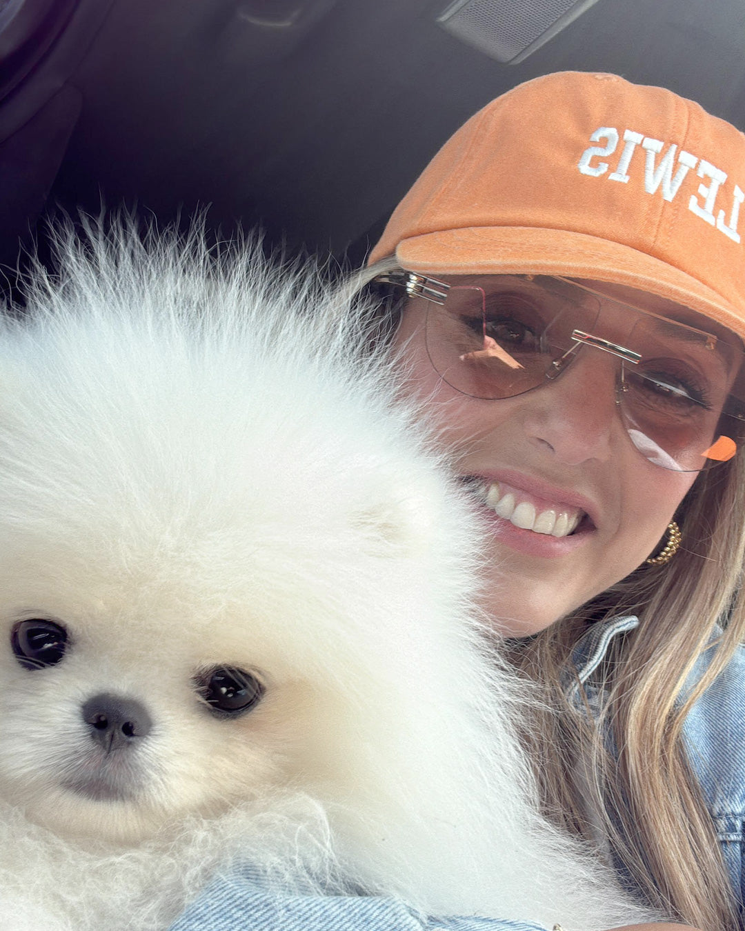 POMERANIAN, ALOHA TEACUP PUPPIES