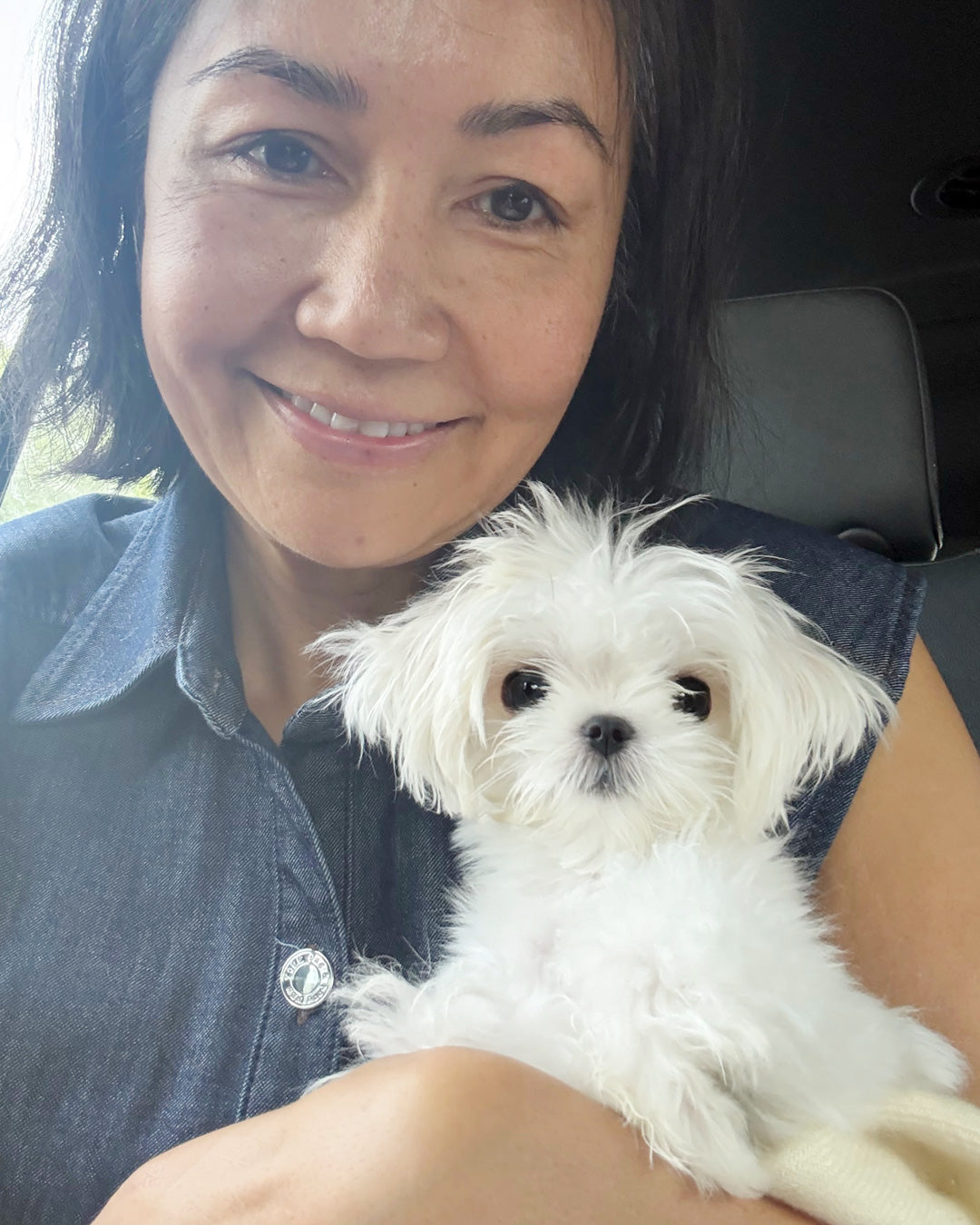MALTESE, ALOHA TEACUP PUPPIES