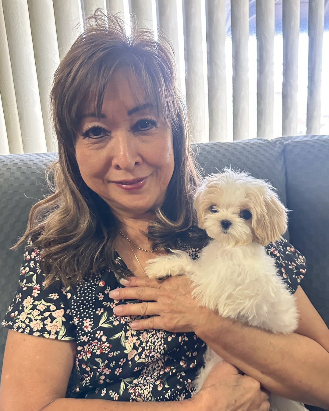 MALTIPOO, ALOHA TEACUP PUPPIES