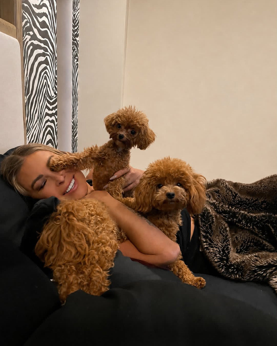 POODLE, ALOHA TEACUP PUPPIES