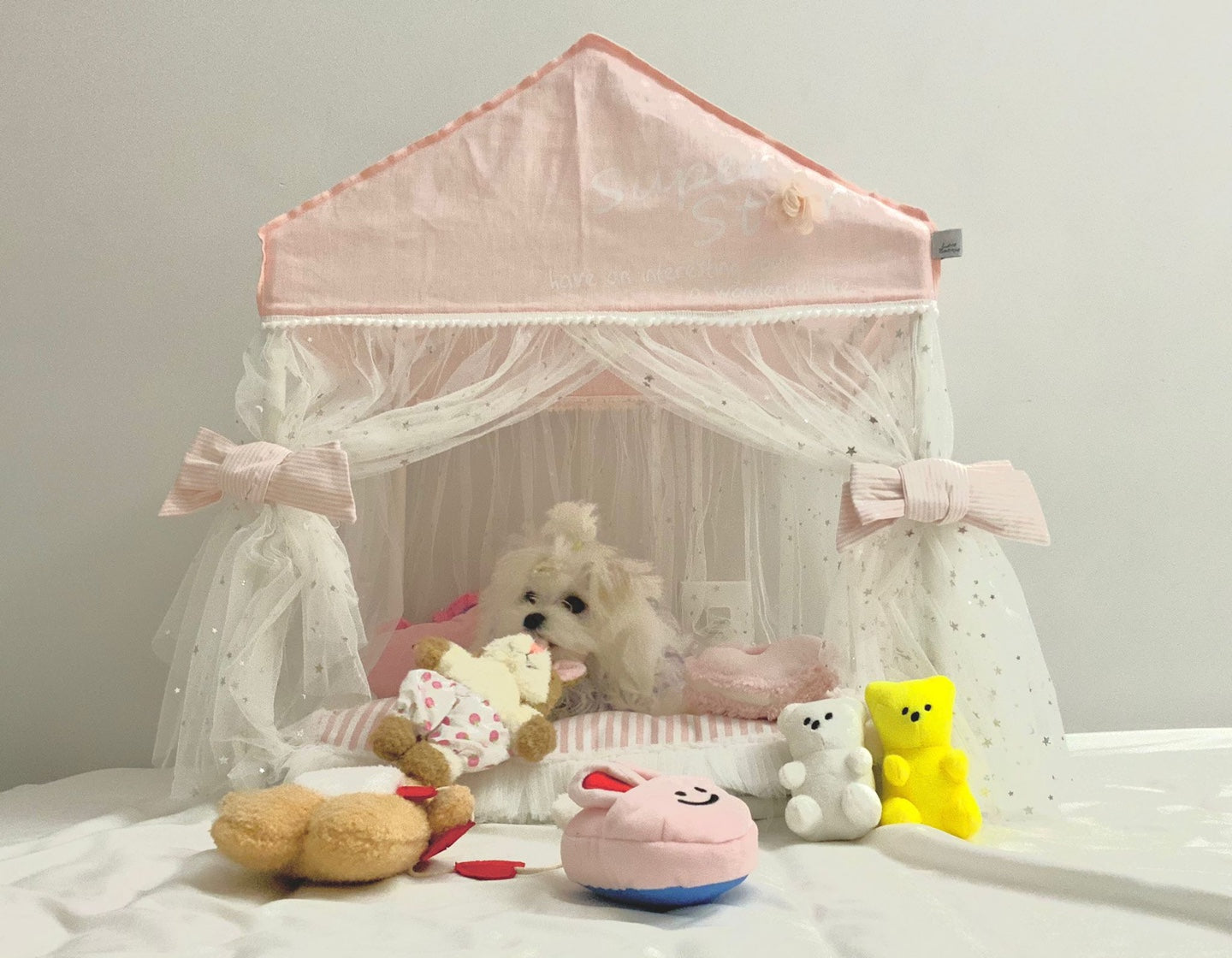 MALTESE, ALOHA TEACUP PUPPIES