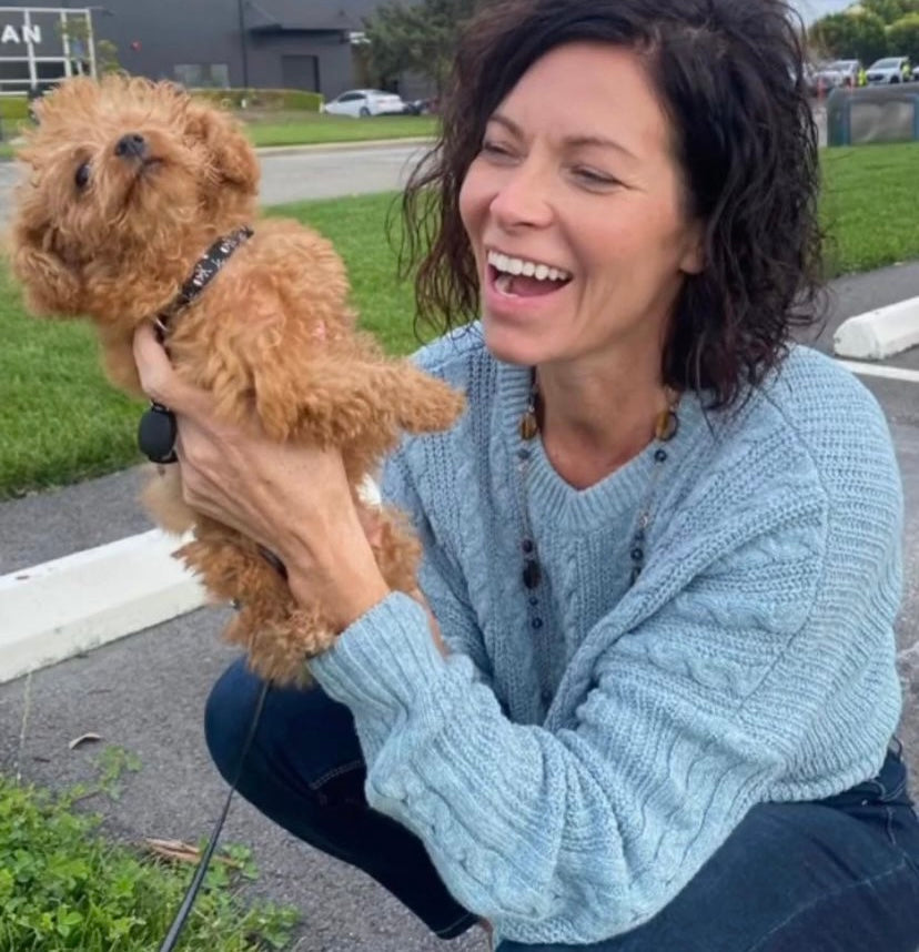 POODLE, ALOHA TEACUP PUPPIES