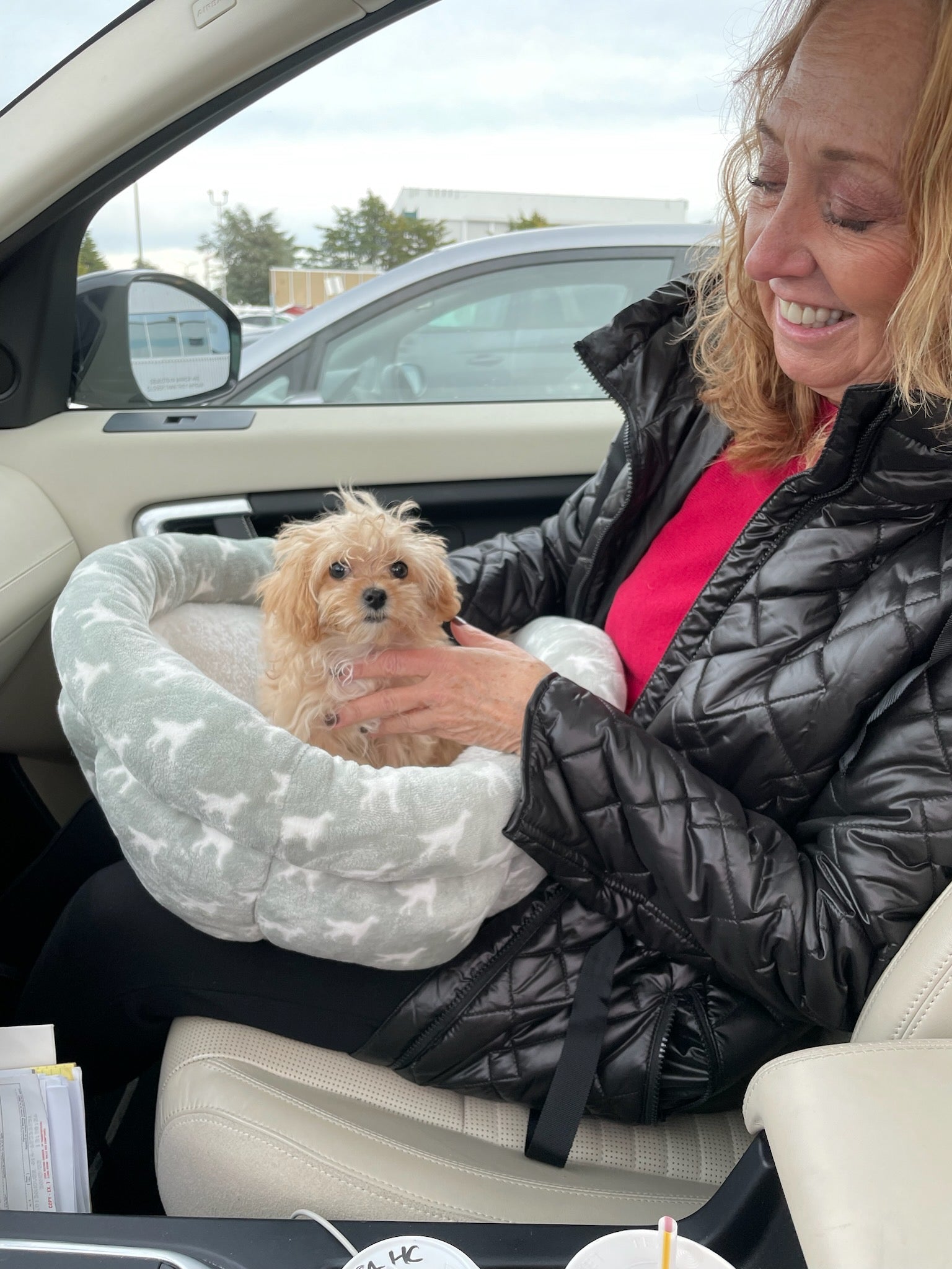 MALTIPOO, ALOHA TEACUP PUPPIES