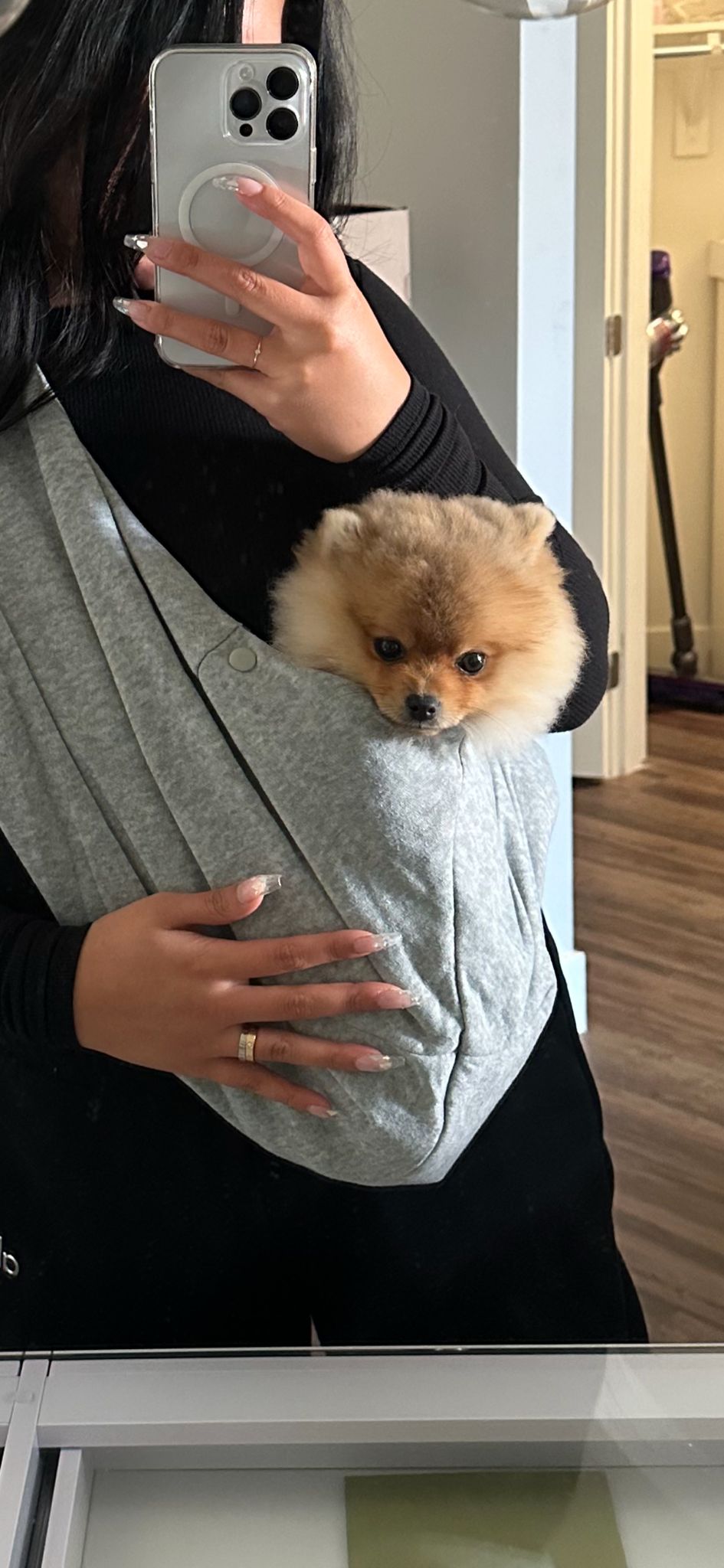POMERANIAN, ALOHA TEACUP PUPPIES