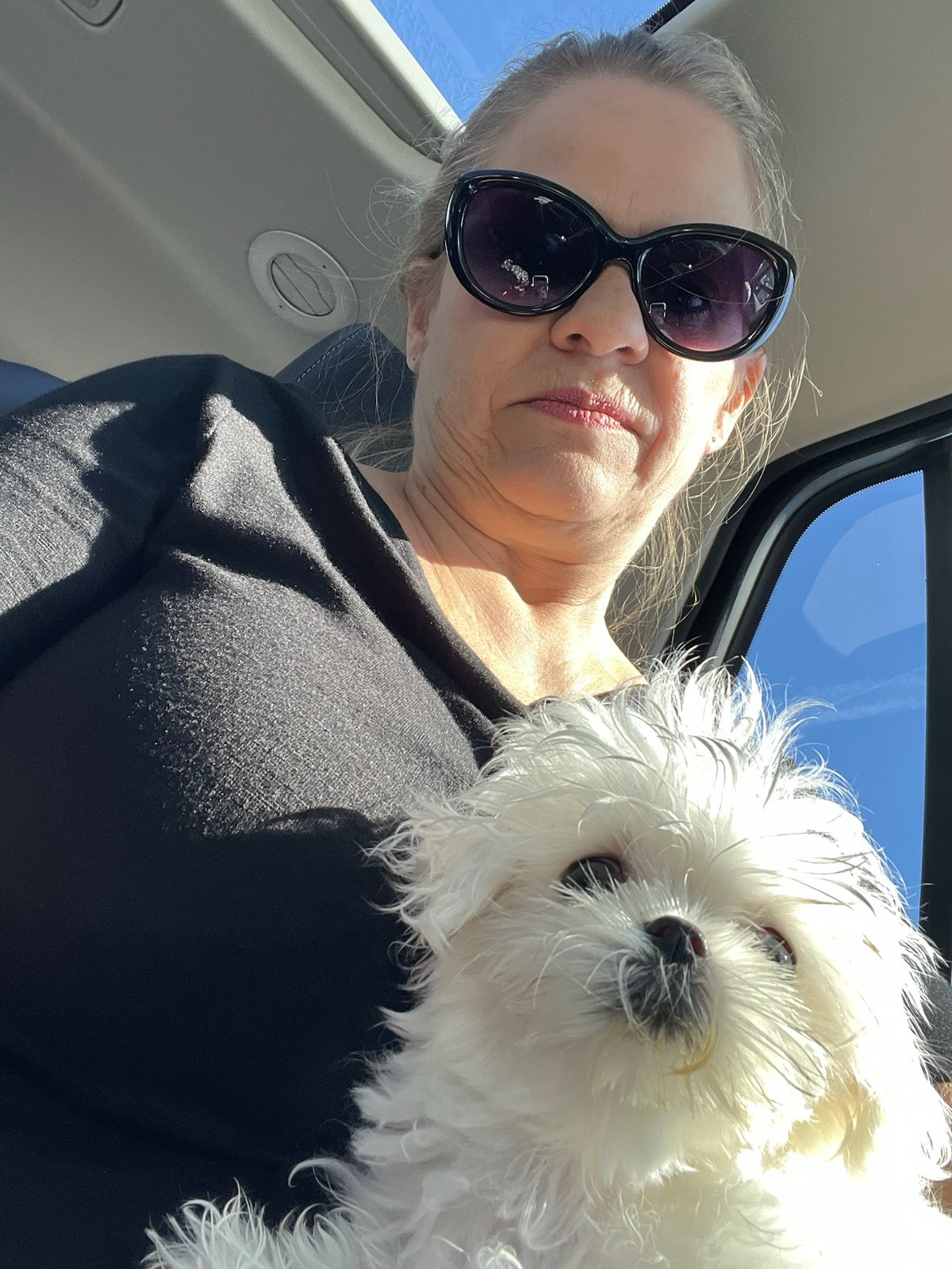 MALTESE, ALOHA TEACUP PUPPIES