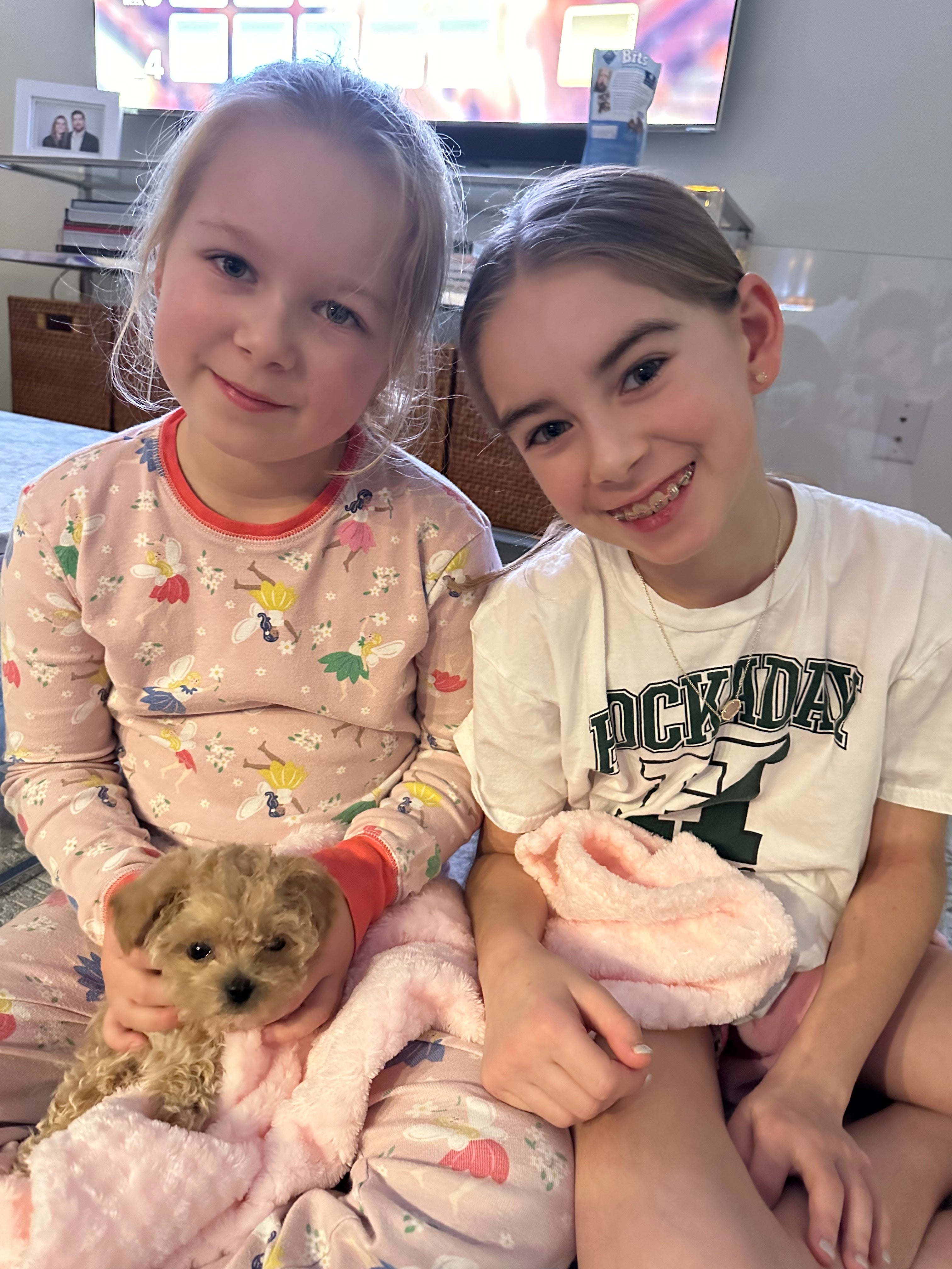 MALTIPOO, ALOHA TEACUP PUPPIES