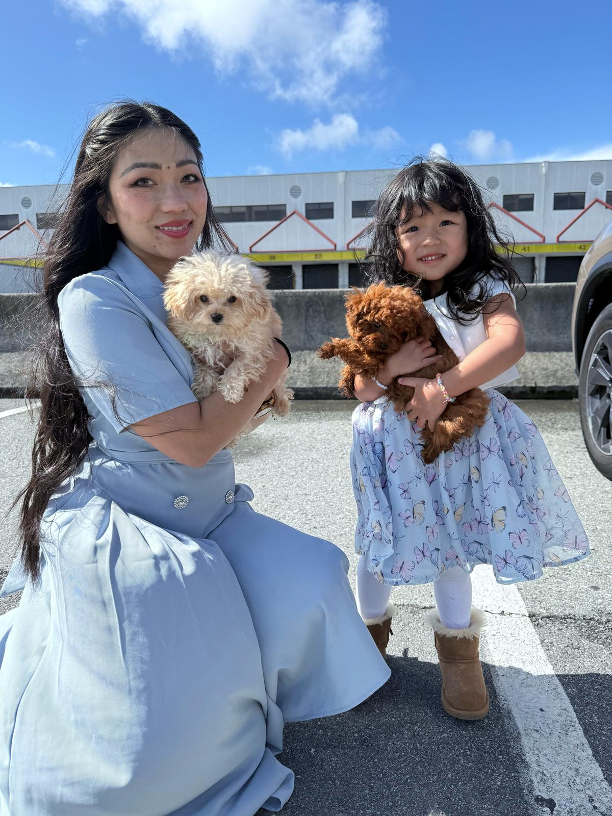 POODLE, ALOHA TEACUP PUPPIES