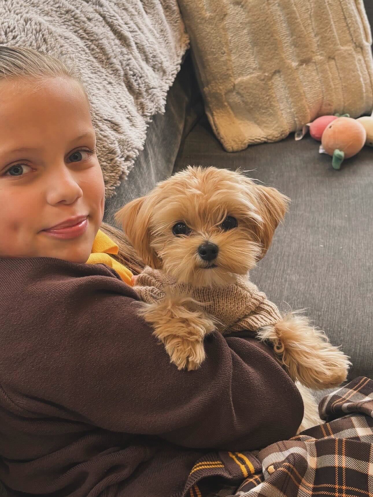 MALTIPOO, ALOHA TEACUP PUPPIES
