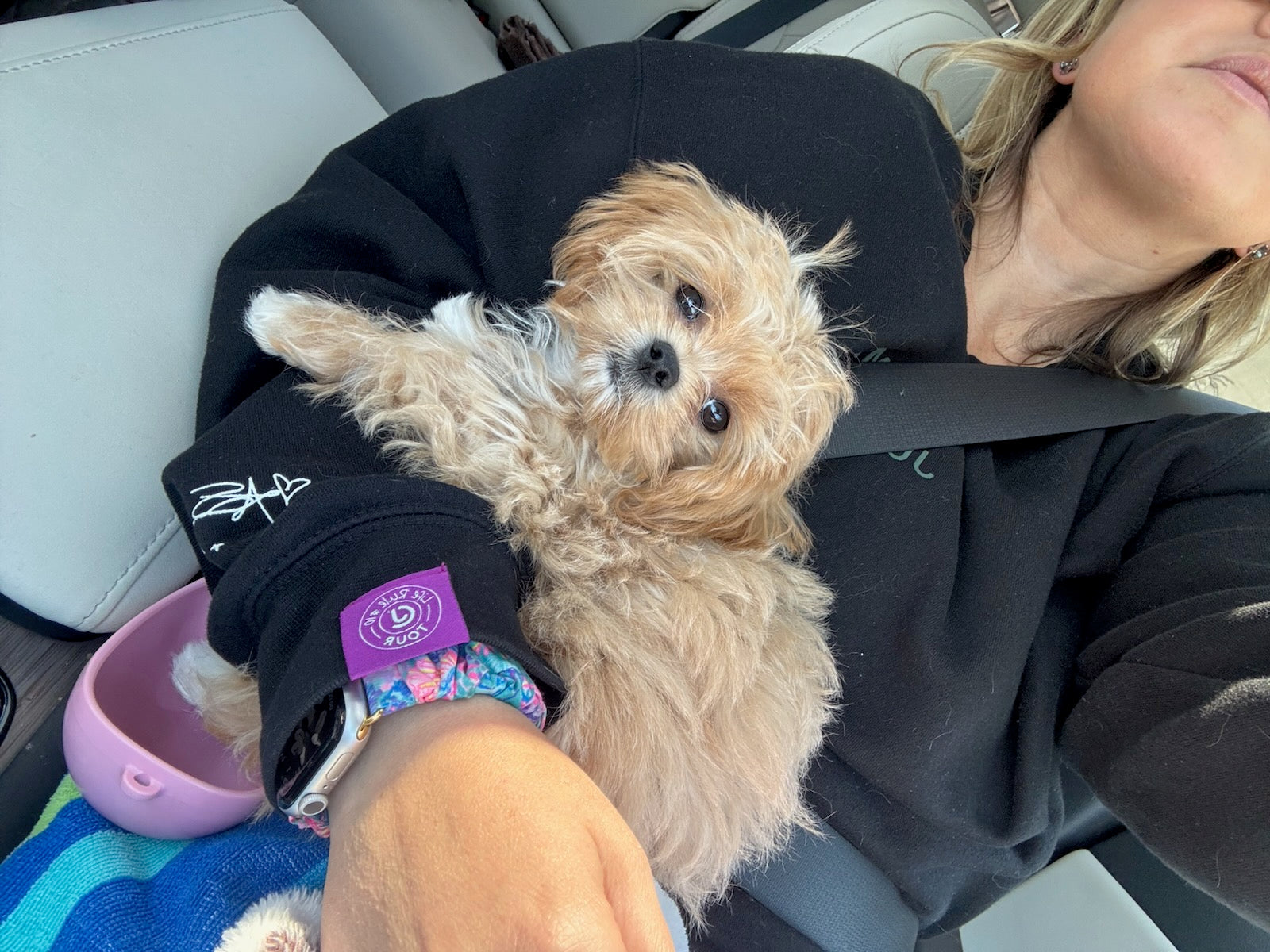 MALTIPOO, ALOHA TEACUP PUPPIES