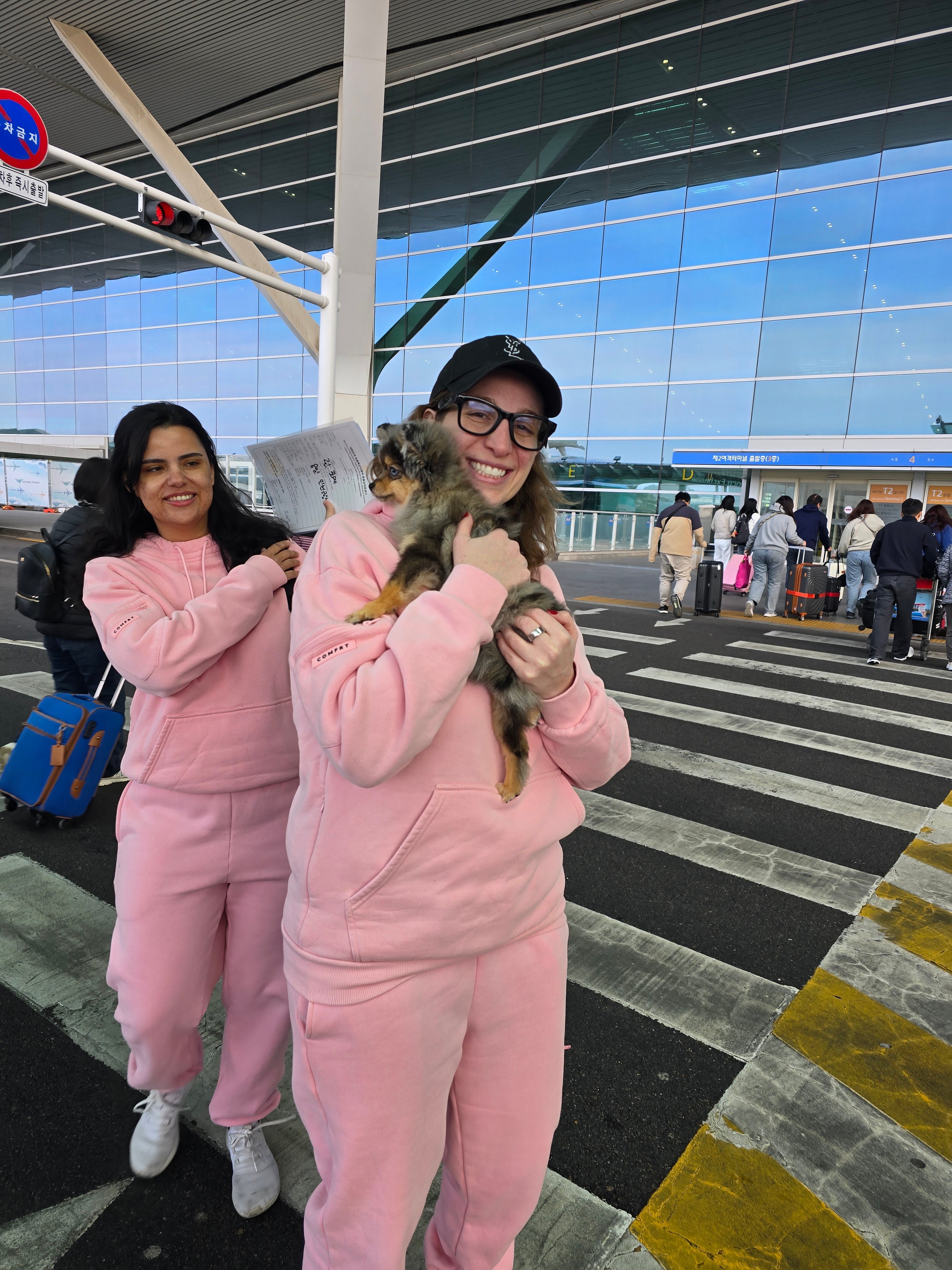 POMERANIAN, ALOHA TEACUP PUPPIES