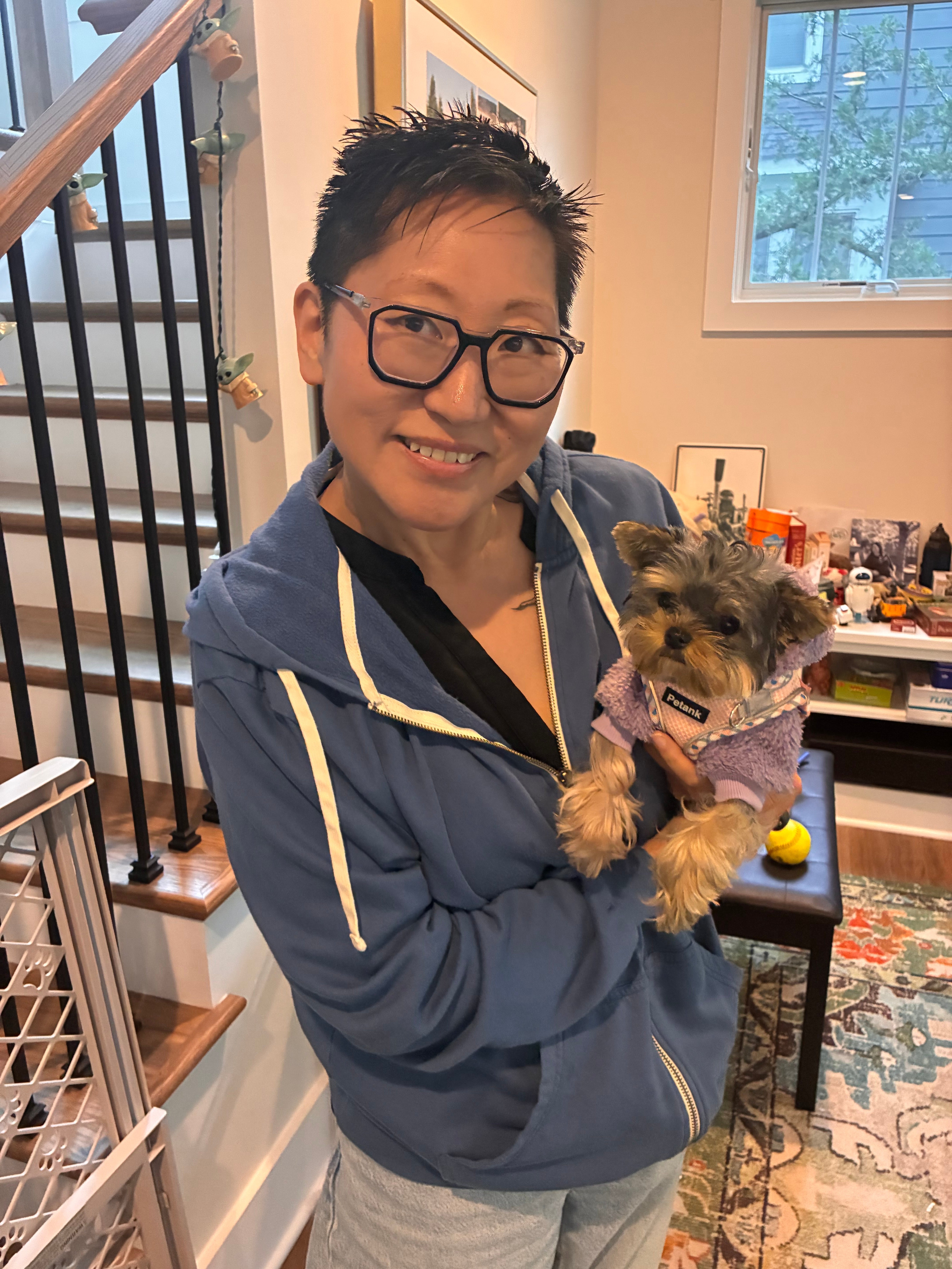 YORKIE, ALOHA TEACUP PUPPIES