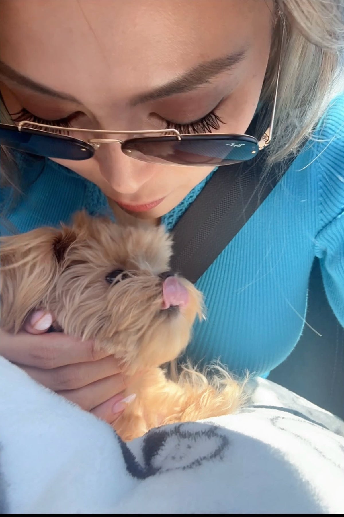 MALTIPOO, ALOHA TEACUP PUPPIES